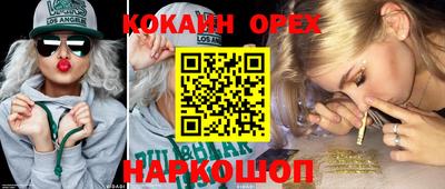 шишки Будённовск