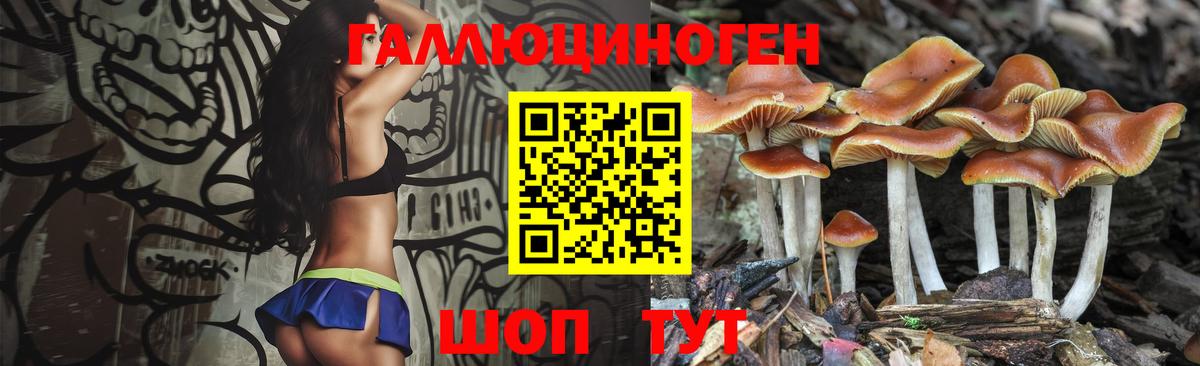 Саратов  Псилоцибиновые грибы MAGIC MUSHROOMS  Галлюциногенные грибы мухоморы  Вход с VPN 