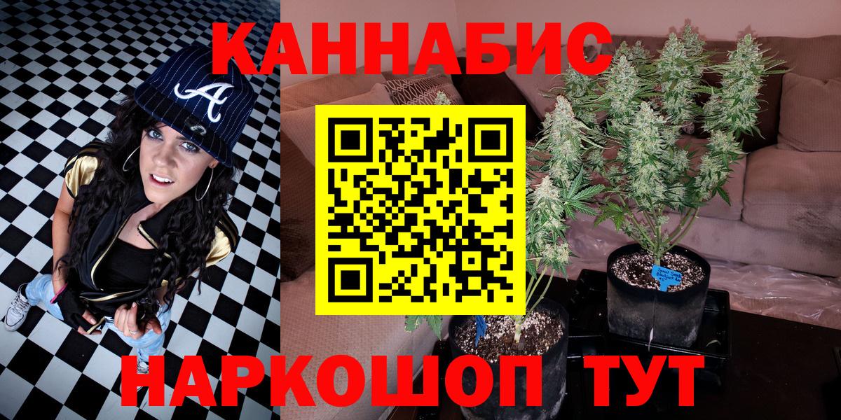 Саратов  Шишки марихуана AK-47  Марихуана план  Вход с VPN  Канабис семена  МАРИХУАНА ГИДРОПОН 